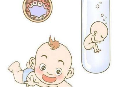 专家肖像